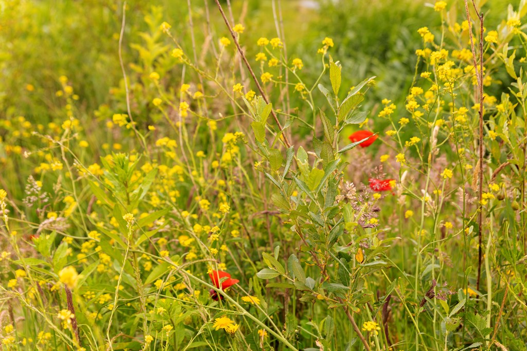 De Duinen 101EL, Ouddorp