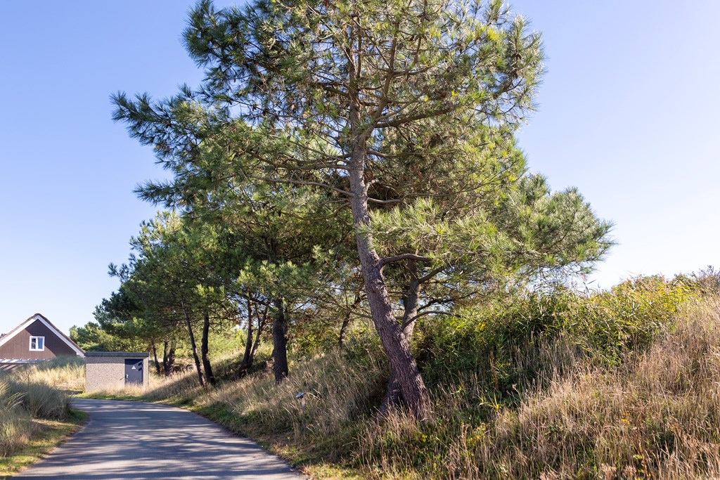 De Duinen 241, Ouddorp